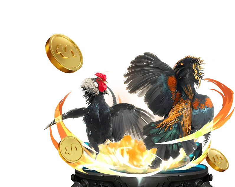 Cá cược thể thao trực tiếp gà cảm 67