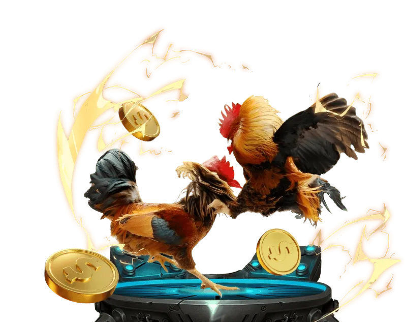 Sòng bạc trực tuyến trực tiếp gà cảm 67